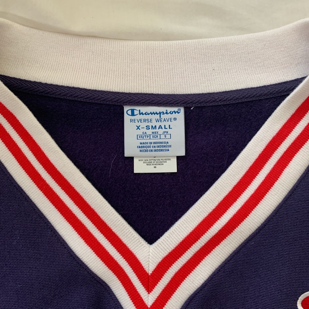 Champion Reverse Weave crop top